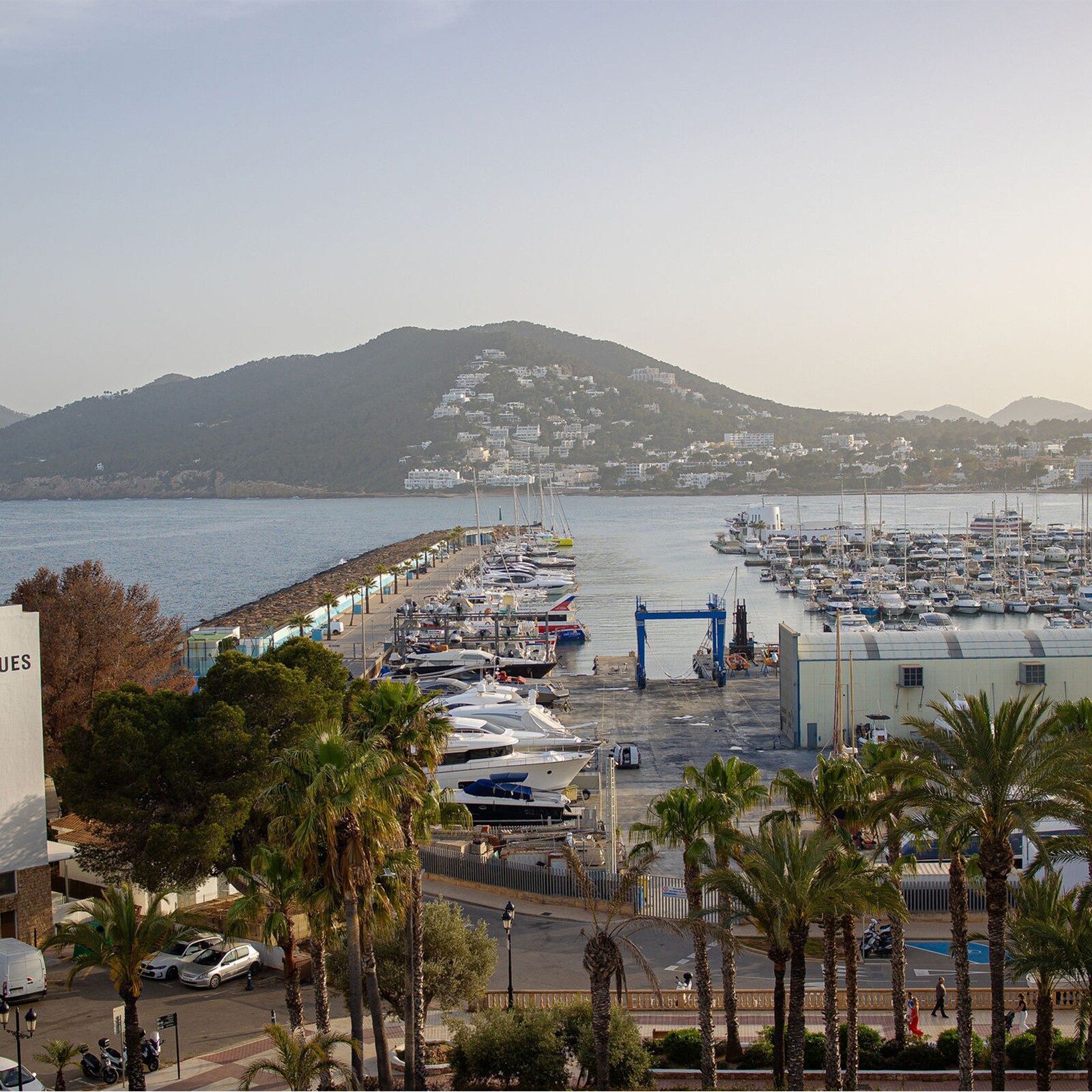 Après symposium Ibiza